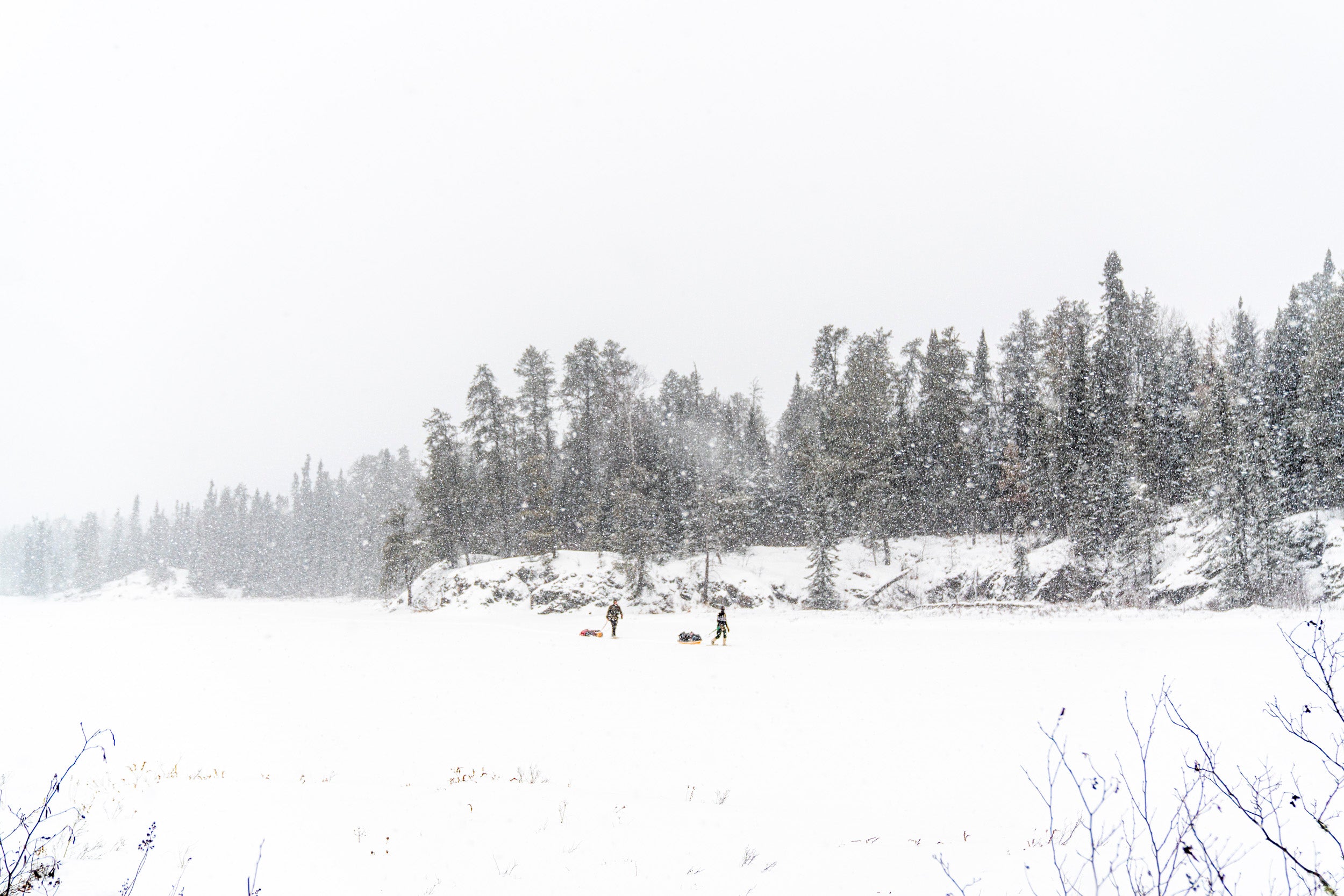 snow covered landscape