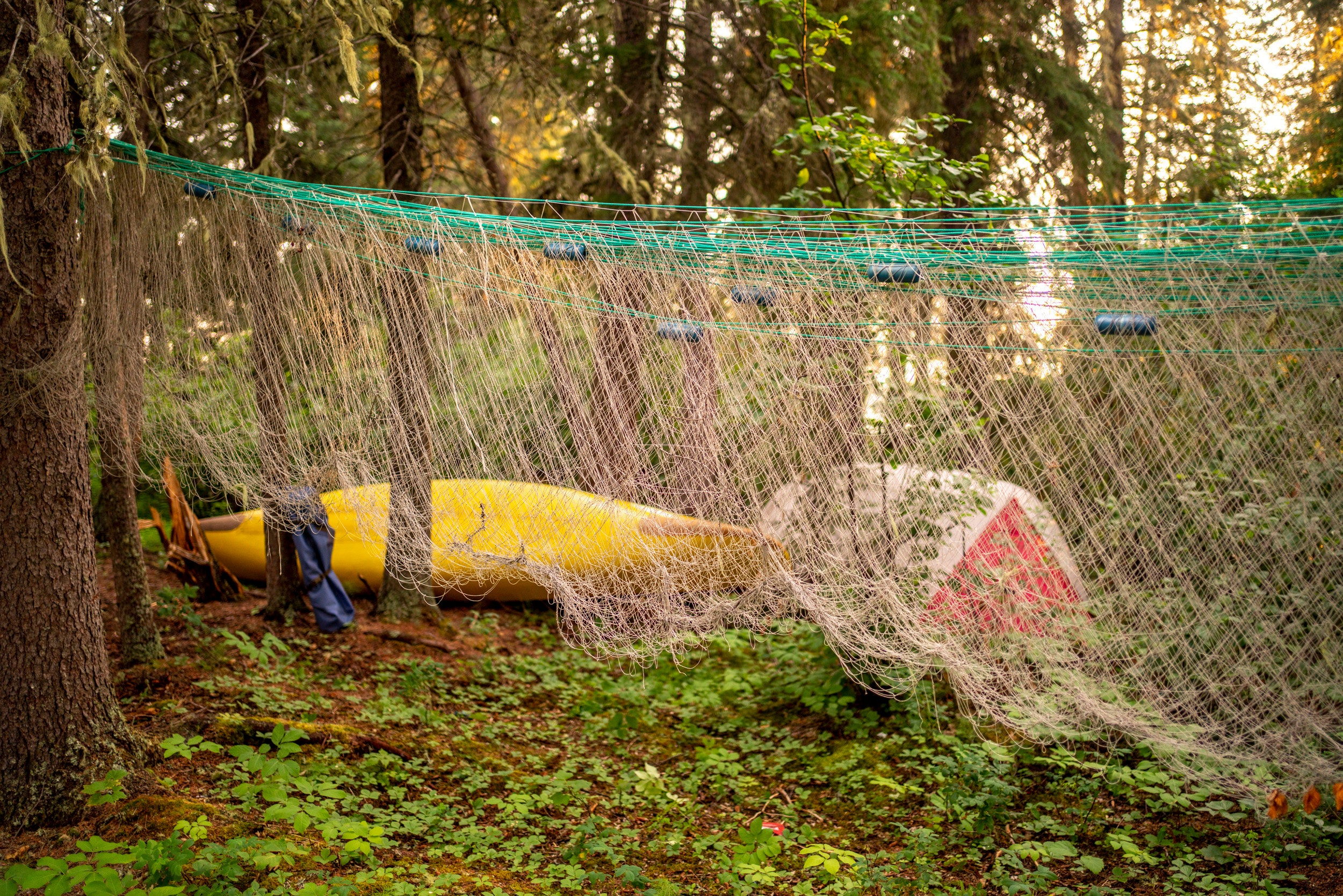Summer Canoe Trip: The Old Trails