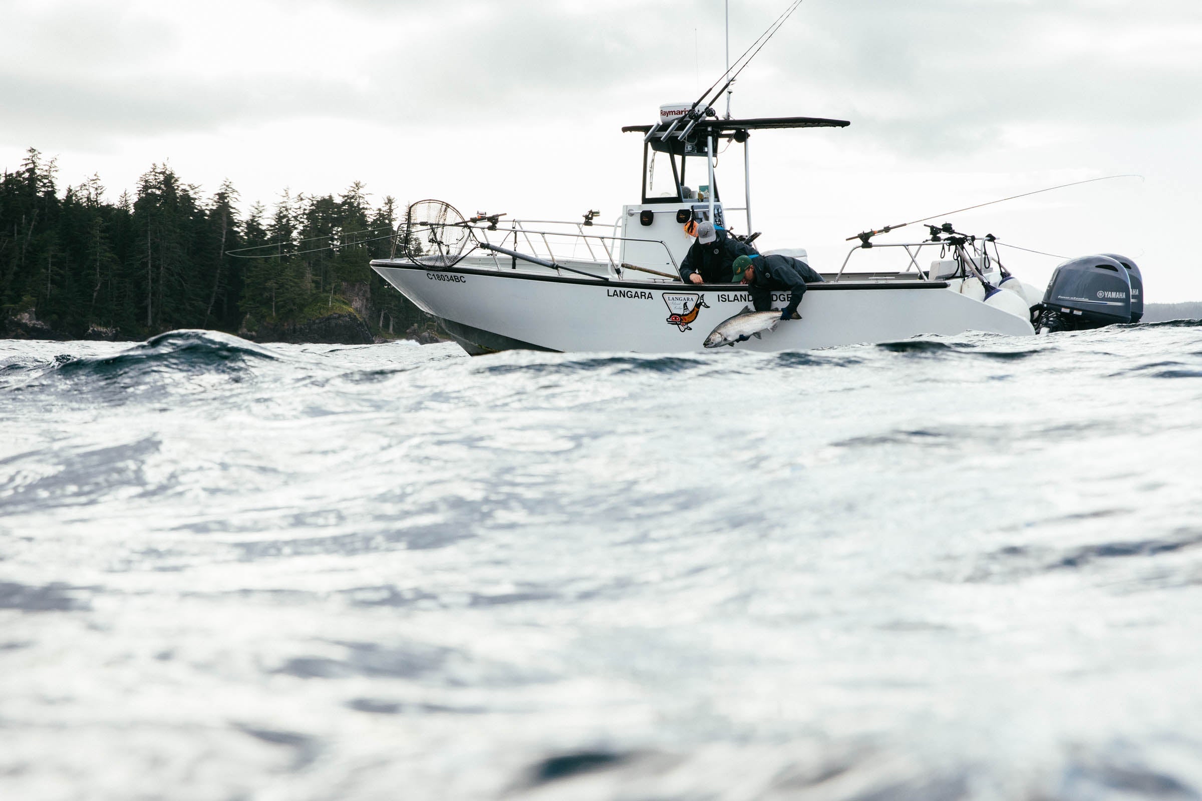 A Fascination with Waves Can Create a Poetic Justice to Our Own Being