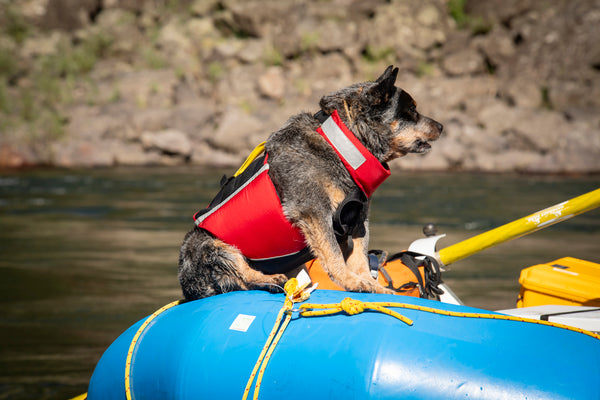 UnderDog Foam Flotation