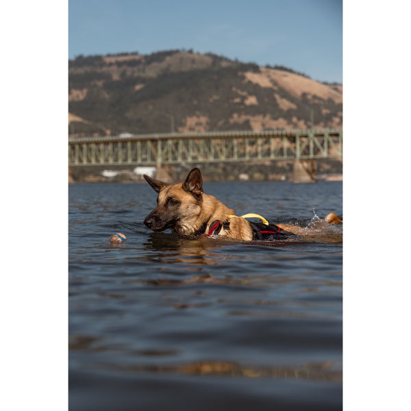 UnderDog Foam Flotation