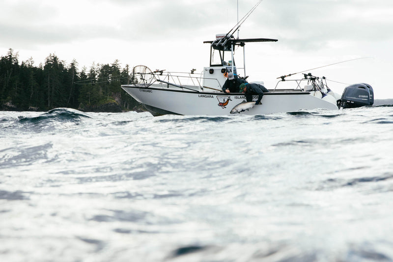A Fascination with Waves Can Create a Poetic Justice to Our Own Being