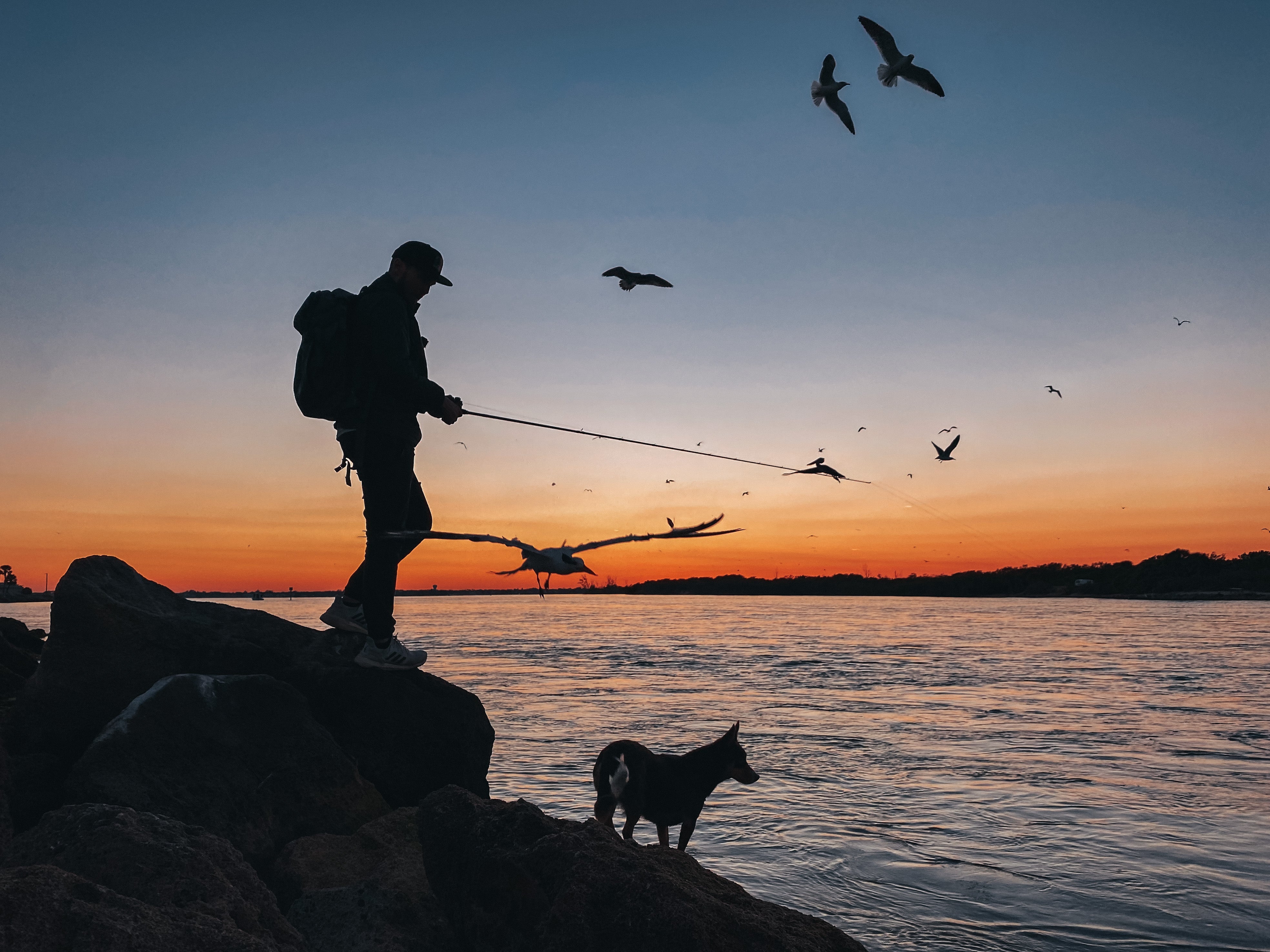 Silhouette of a person wearing Mustang Survival gear casting a fishing rod from rocky shoreline during inshore flats fishing at sunset, with a dog nearby and birds flying overhead.
