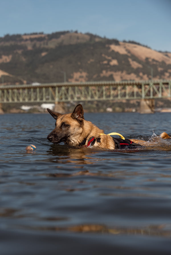 UnderDog Foam Flotation