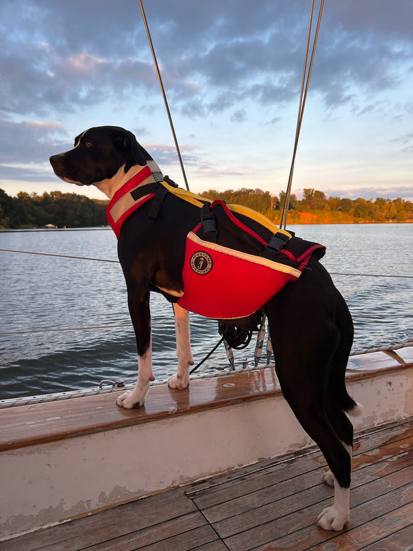 UnderDog Foam Flotation