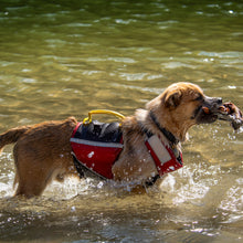 UnderDog Foam Flotation