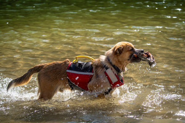 UnderDog Foam Flotation