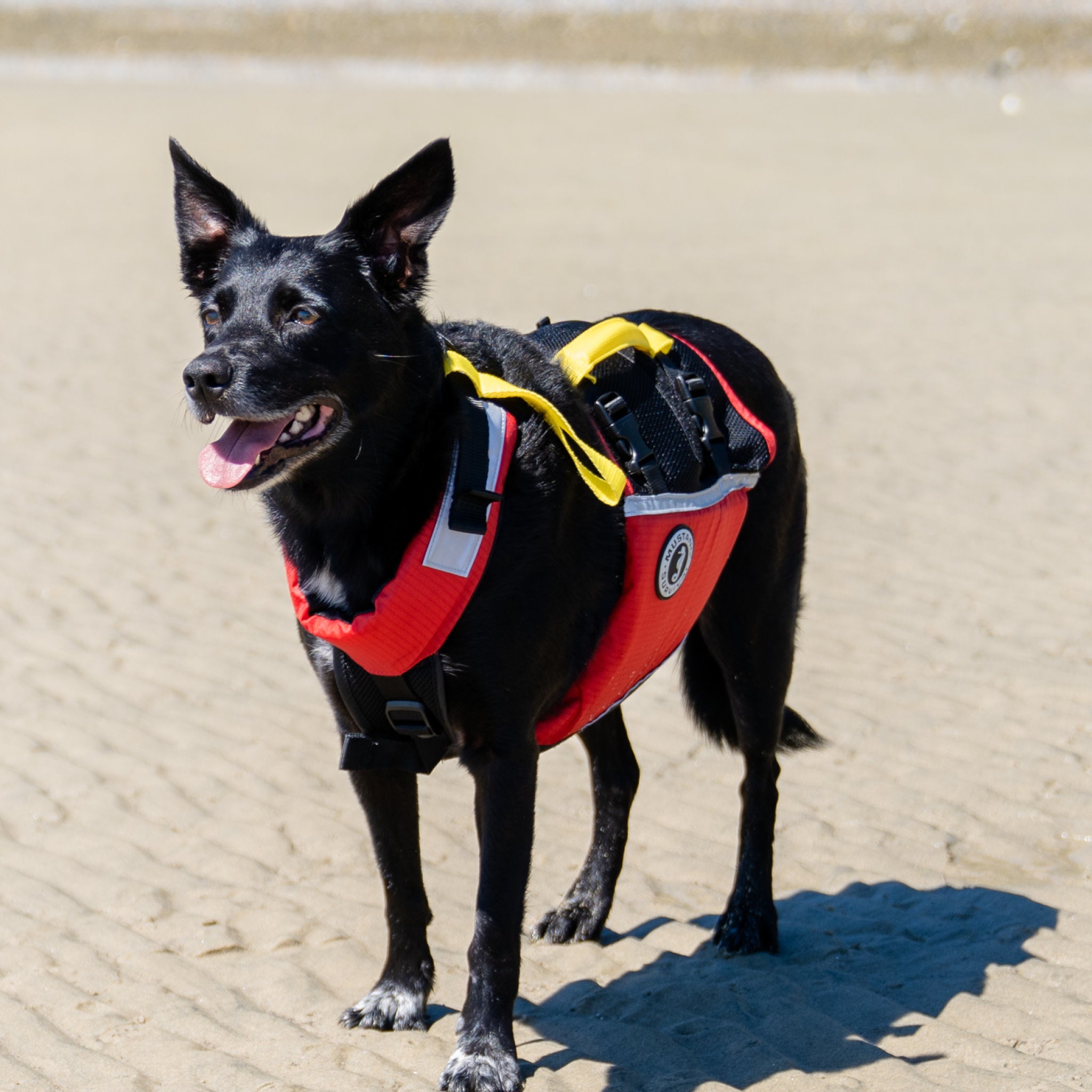 UnderDog Foam Flotation – Mustang Survival USA